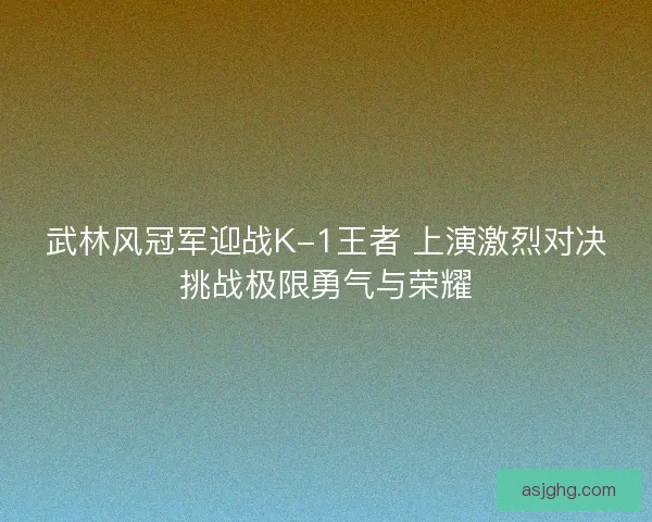武林风冠军迎战K-1王者 上演激烈对决挑战极限勇气与荣耀