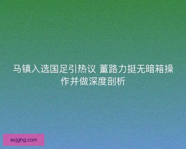 马镇入选国足引热议 董路力挺无暗箱操作并做深度剖析 马镇入选国足引热议 董路力挺无暗箱操作并做深度剖析